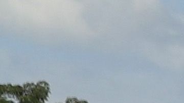 La caravana migrante de octubre de 2018.