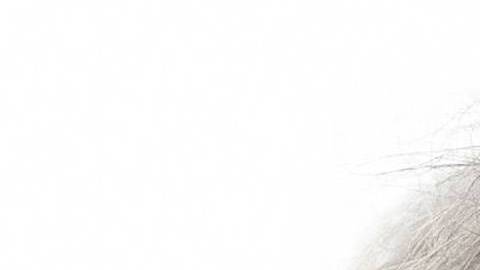 Trump ya se había burlado de Biden a inicios de abril.