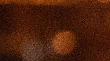 También se reporta que en sus viajes a Mar-a-Lago la pareja presidencial pasa más tiempo junta.