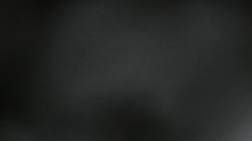 El presidente Trump presume que no intentó obstruir la justicia.