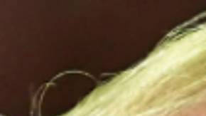 Mitch McConnell le dijo a Trump que olvidara su idea de una reforma sanitaria antes de 2020