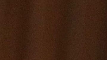 Alexandria Ocasio-Cortez es una de las estrellas ascendentes del Partido Demócrata.