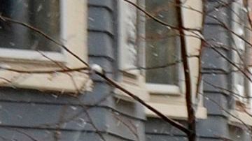 Las tormentas han traído nevadas en abril al centro de EEUU.