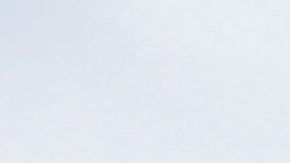 Catedral de Notre Dame