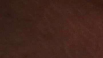 La tecnología permite que ICE automáticamente reciba las huellas digitales de toda persona que es detenida a nivel local.