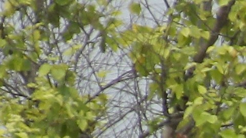 Twin Peaks donde ocurrió el tiroteo entre bandas de motoristas rivales, el 18 de mayo de 2015.