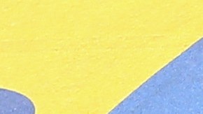 El clima no fue un obstáculo