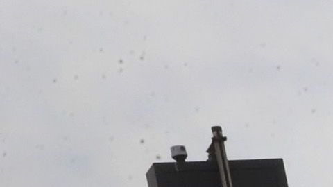 Dos adolescentes de 15 y 19 años resultaron heridos en un tiroteo  en Palatine.