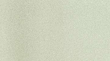 Hacer más estricta la prueba de miedo creíble también esta en los planes