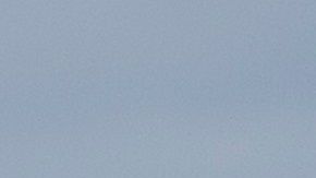 Jared Kushner y Stephen Miller.