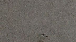 Imágenes de la bodega que ardió en llamas el 2 de diciembre, 2016 in Oakland, California.