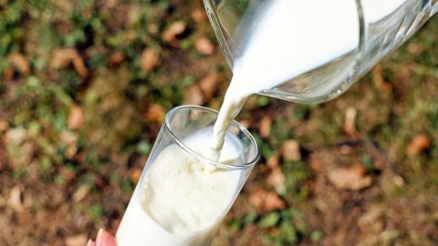 tipos de leche