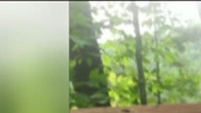 Paul Haaf tenía 54 años