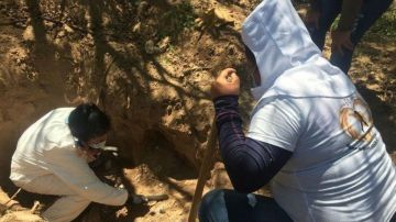 Hallan nueva narcofosa con unos 25 cuerpos en Sonora, México