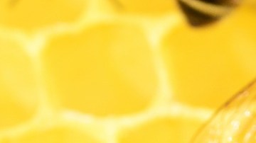 Muchas organizaciones aseguran que las abejas están en peligro de extinción.