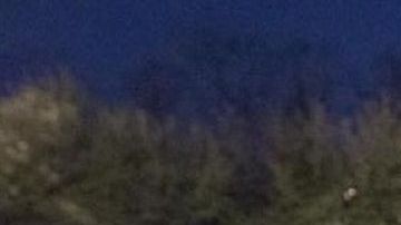 El reporte de ICE fue dado a conocer el 16 de abril de este año.