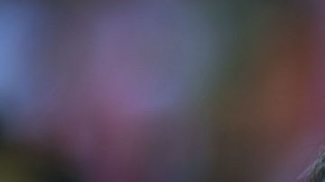 Jorge Vergara se alejó de toda actividad desde hace más de un año