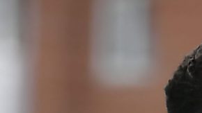 Giovani dos Santos podría jugar por primera vez en México.