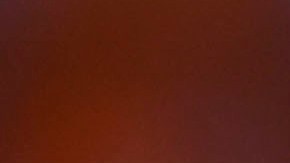 Raúl Jiménez y Javier "Chicharito" Hernández