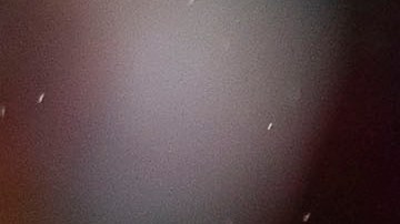 Javier "Chicharito" Hernández responde a las críticas en su contra en las redes sociales