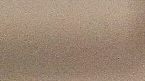 Tomás Boy asumió como técnico de las Chivas del Guadalajara