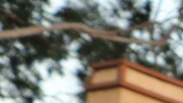 Ruidosos manifestantes irrumpieron la paz en el exclusivo barrio de Patton Court, en San Marino. (Jorge Macías/ La Opinión)