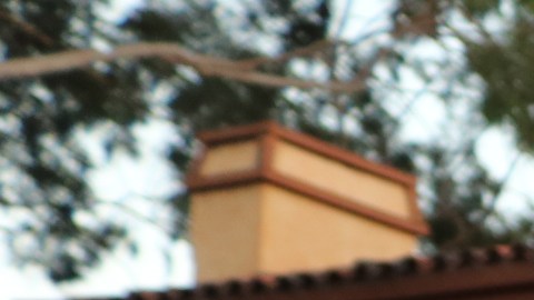 Ruidosos manifestantes irrumpieron la paz en el exclusivo barrio de Patton Court, en San Marino. (Jorge Macías/ La Opinión)