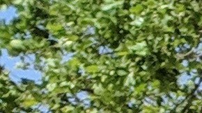 Miguel Ángel Pérez es un apasionado de las ventas. (Jacqueline García)