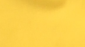 Ivone Cisneros recomendó a las mujeres tener carácter y no intimidarse ante los hombres. (Jorge Morales / La Opinión)