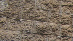 Los manifestantes llevaron pancartas donde se leía: ‘Las personas por encima de las ganancias’ , ‘Mantengan a las familias unidas, entre otras. / FOTOS: Jorge Luis Macías.