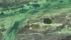 El hombre compró la sla Thompson, hasta entonces hogar de la familia Knight.