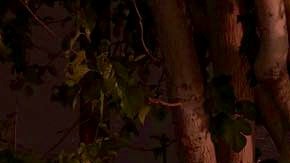 Juan García fue deportado a México a principios de marzo. (Foto suministrada).