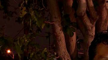 Juan García fue deportado a México a principios de marzo. (Foto suministrada).