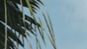 Cada vez más real. Así sentirás el efecto de esta nueva atracción.