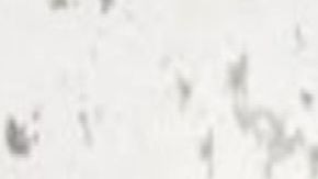 Liberan a "El Chofo", presunto sicario del CJNG