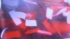 El exfutbolista mexicano Pável Pardo.