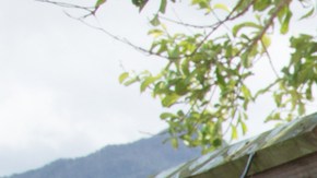 Nadie está a salvo de cualquier desastre natural que crea desastres económicos. (Fema Graphic)