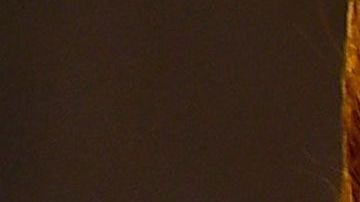 Marjorie de Sousa en la polémica.