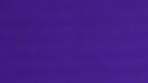 Algunos padres han decidido sacar a sus hijos de las escuelas que usan este programa.