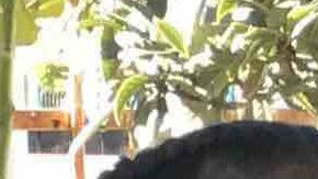 Amy Lorenzo, 12, (izq.) y su hermana Marlene Lorenzo, 14, fallecieron tras ser arrolladas por un camión de carga. (Suministrada)