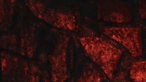 Reto viral Abecedario del Diablo