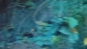 Myriam Paguay es una de las desaparecidas.