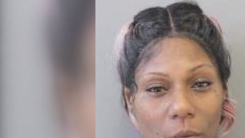 La policía dice que Brandy McGrew ignoró las señales y le sacó la vuelta al autobús impactando al niño.