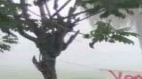 Narcomanta Tabasco amenaza a extorsionarores y secuestradores