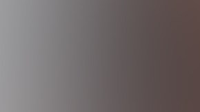 Pablo Lyle fue arrestado y puesto en libertad bajo a fianza.