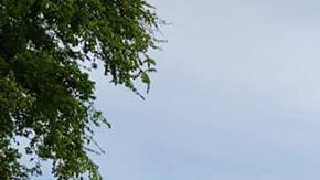 Patrick Pressgrove paró el cronometro en 4:17:58 segundos en Boston, una hazaña extraordinaria cuando se considera que Patrick no tiene piernas.