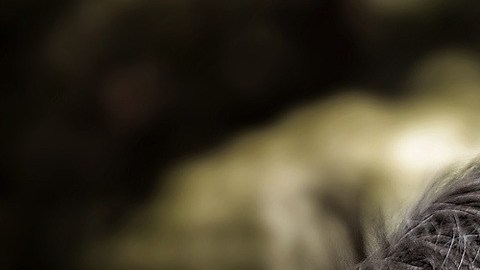 Nuestro rostro cambió parra comunicarnos también.