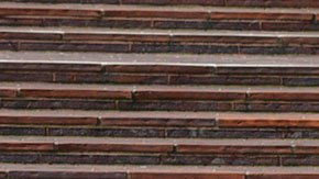 Hay algunas buenas oportunidades de empleo en donde las personas con discapacidad podrían desarrollarse plenamente.