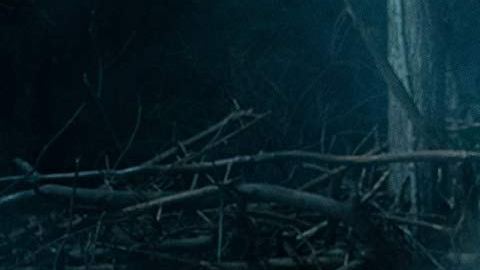 Jason Clarke en Pet Sematary.