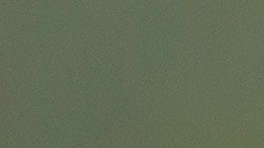 Un Rottweiler mató a una niña en Nevada.